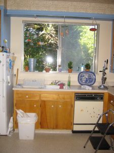 walnerbeforexistingwindow